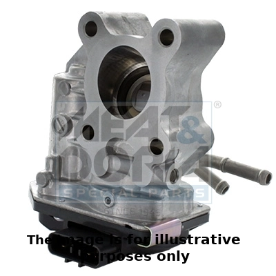 EGR Valve